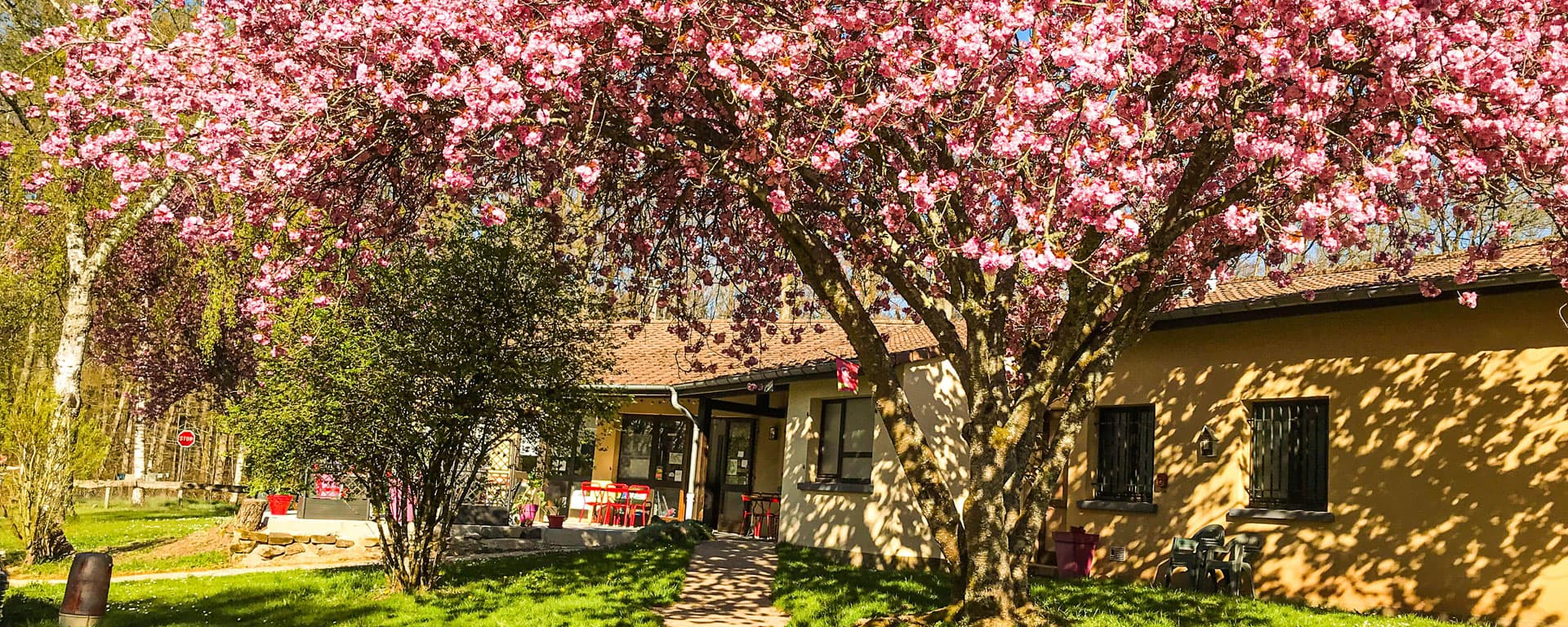 Camping de Fontenoy — photo 3