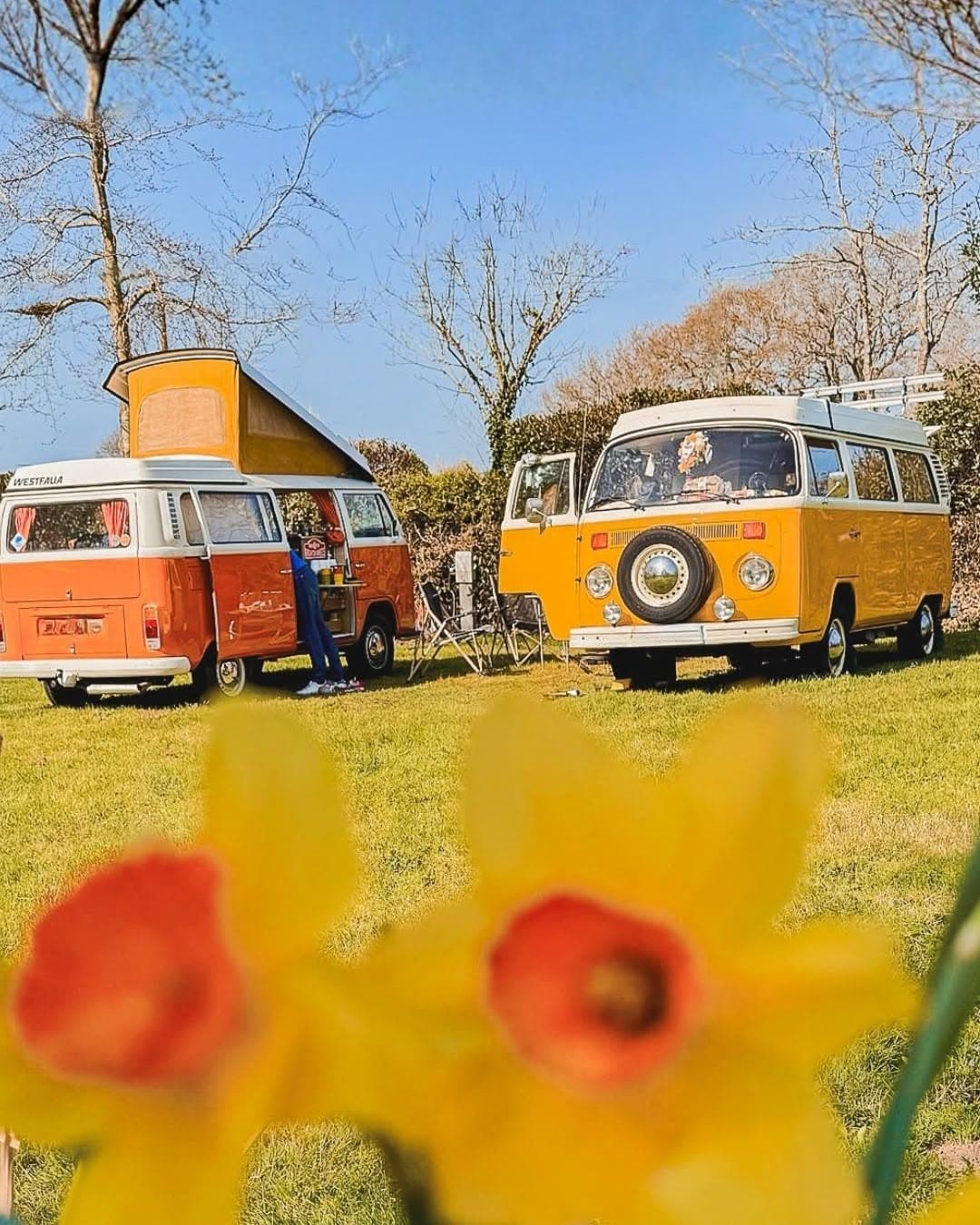 Camping de Lann Hoëdic — photo 9