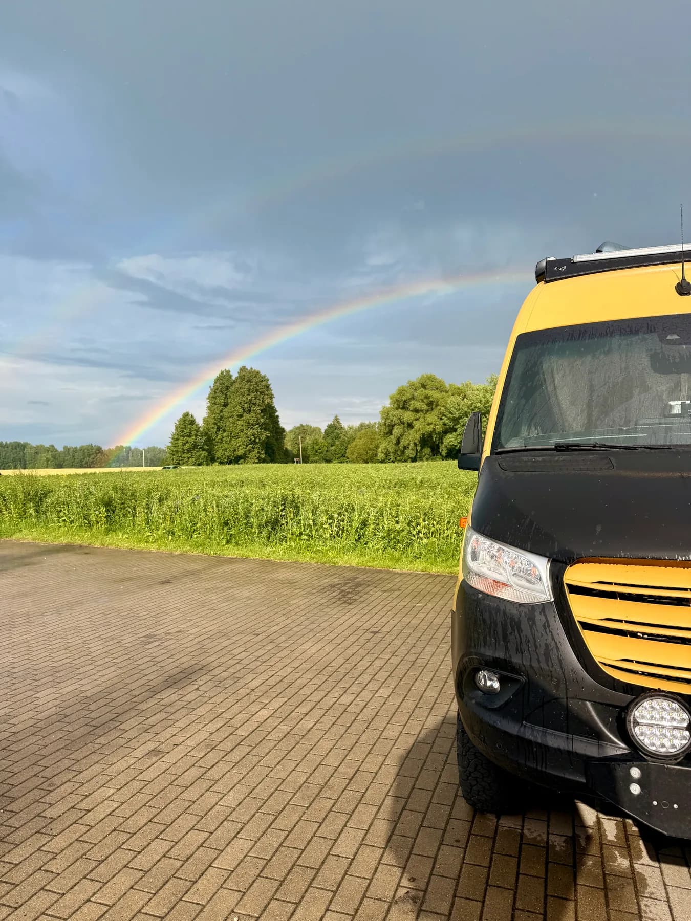 Zigzag, le Sprinter jaune et noir de Tina, sous un arc-en-ciel